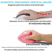
best ergonomic mice for gaming