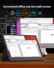 Portable Monitor